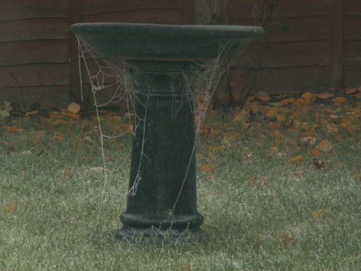 Frozen Cobwebs